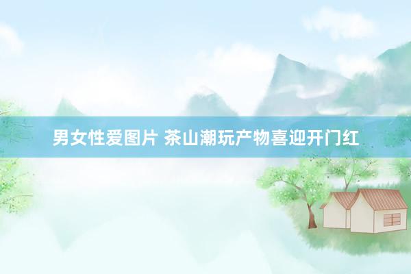 男女性爱图片 茶山潮玩产物喜迎开门红