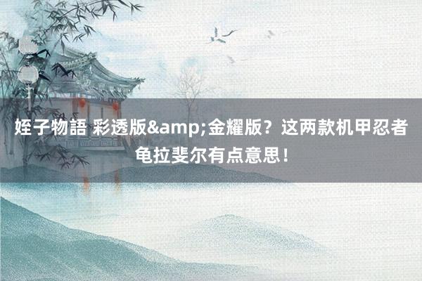姪子物語 彩透版&金耀版？这两款机甲忍者龟拉斐尔有点意思！