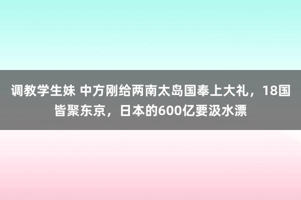 调教学生妹 中方刚给两南太岛国奉上大礼，18国皆聚东京，日本的600亿要汲水漂