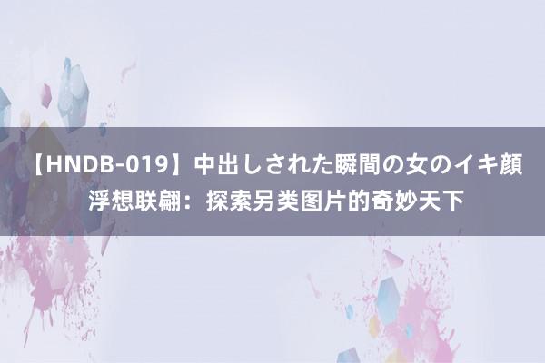 【HNDB-019】中出しされた瞬間の女のイキ顔 浮想联翩：探索另类图片的奇妙天下