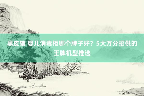 黑皮猪 婴儿消毒柜哪个牌子好？5大万分招供的王牌机型推选