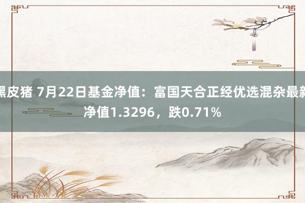 黑皮猪 7月22日基金净值：富国天合正经优选混杂最新净值1.3296，跌0.71%
