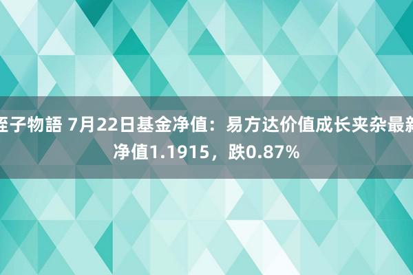姪子物語 7月22日基金净值：易方达价值成长夹杂最新净值1.1915，跌0.87%
