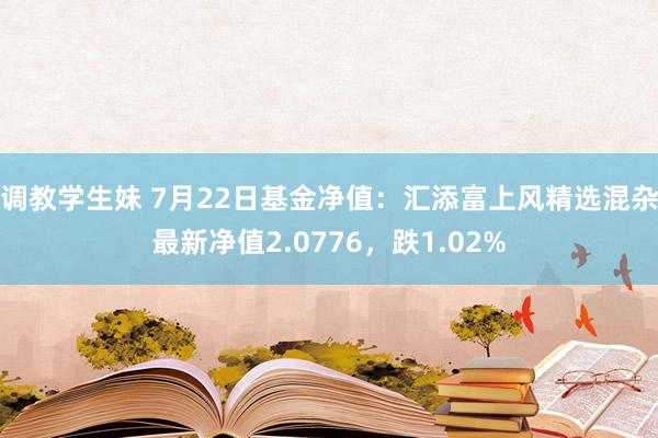 调教学生妹 7月22日基金净值：汇添富上风精选混杂最新净值2.0776，跌1.02%