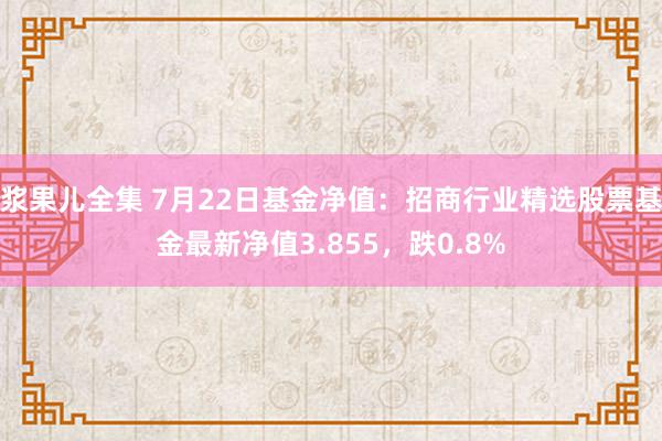 浆果儿全集 7月22日基金净值：招商行业精选股票基金最新净值3.855，跌0.8%