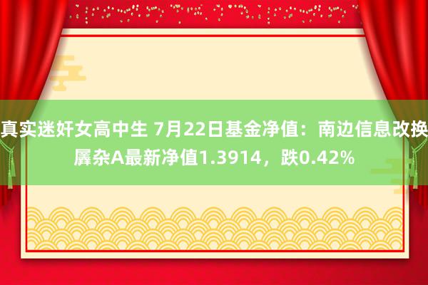 真实迷奸女高中生 7月22日基金净值：南边信息改换羼杂A最新净值1.3914，跌0.42%