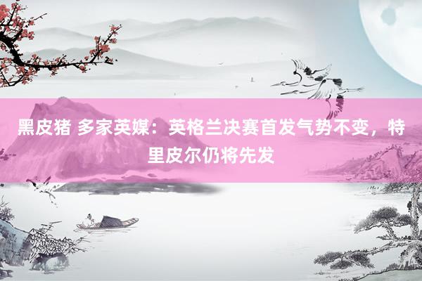 黑皮猪 多家英媒：英格兰决赛首发气势不变，特里皮尔仍将先发