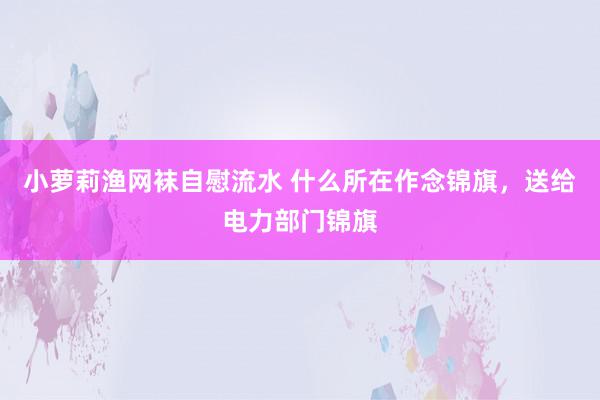小萝莉渔网袜自慰流水 什么所在作念锦旗，送给电力部门锦旗