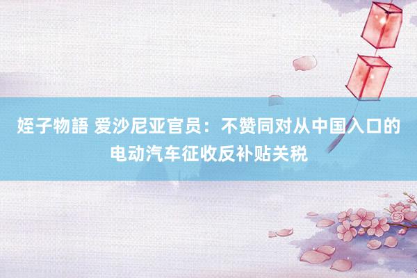 姪子物語 爱沙尼亚官员：不赞同对从中国入口的电动汽车征收反补贴关税