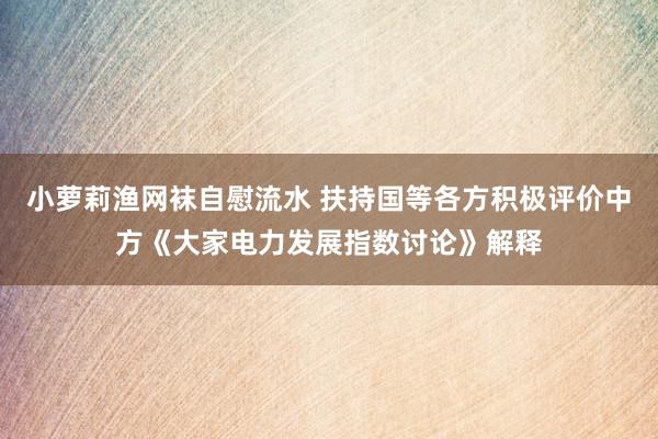 小萝莉渔网袜自慰流水 扶持国等各方积极评价中方《大家电力发展指数讨论》解释