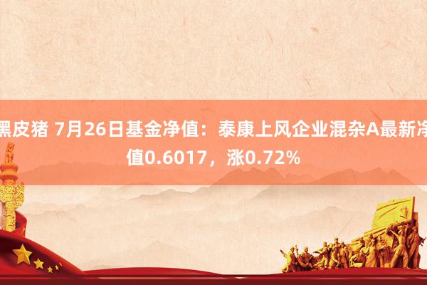 黑皮猪 7月26日基金净值：泰康上风企业混杂A最新净值0.6017，涨0.72%