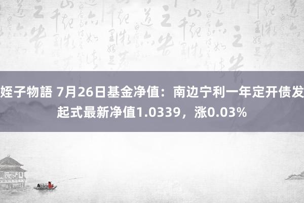 姪子物語 7月26日基金净值：南边宁利一年定开债发起式最新净值1.0339，涨0.03%