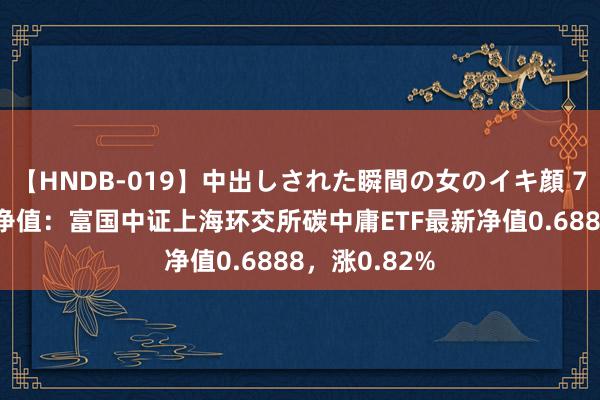 【HNDB-019】中出しされた瞬間の女のイキ顔 7月26日基金净值：富国中证上海环交所碳中庸ETF最新净值0.6888，涨0.82%