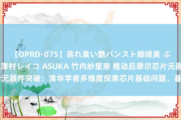 【OPRD-075】蒸れ臭い艶パンスト脚線美 ぶっかけゴックン大乱交 澤村レイコ ASUKA 竹内紗里奈 推动后摩尔芯片元器件突破：清华学者多维度探索芯片基础问题，基于新材料研发全适配器件