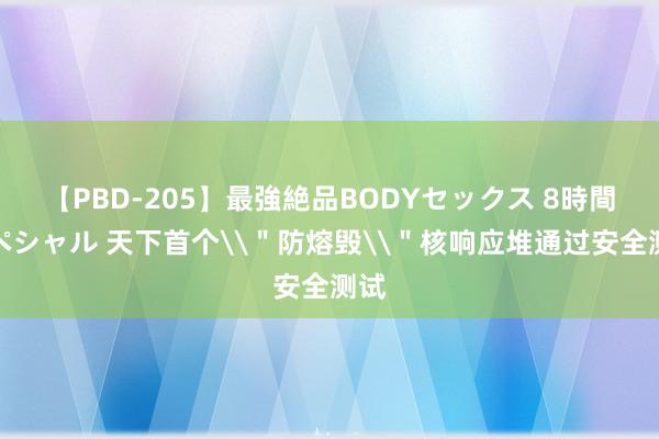 【PBD-205】最強絶品BODYセックス 8時間スペシャル 天下首个\＂防熔毁\＂核响应堆通过安全测试