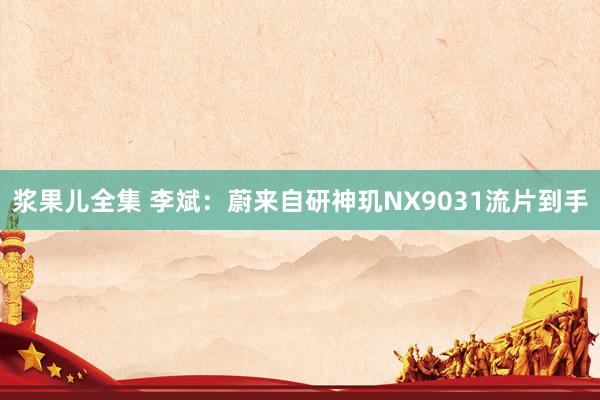 浆果儿全集 李斌：蔚来自研神玑NX9031流片到手