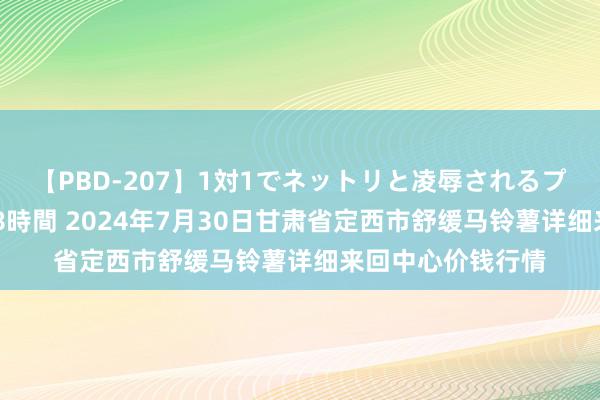 【PBD-207】1対1でネットリと凌辱されるプレミア女優たち 8時間 2024年7月30日甘肃省定西市舒缓马铃薯详细来回中心价钱行情