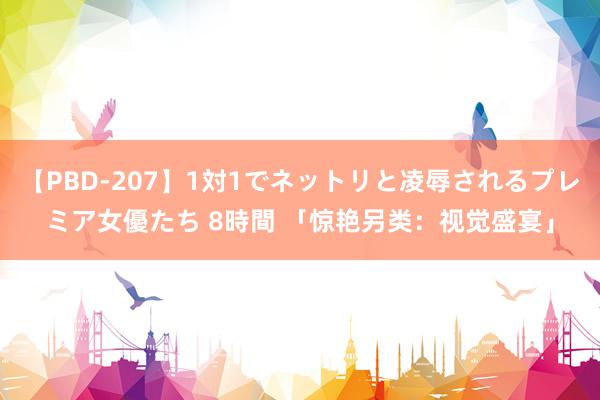 【PBD-207】1対1でネットリと凌辱されるプレミア女優たち 8時間 「惊艳另类：视觉盛宴」