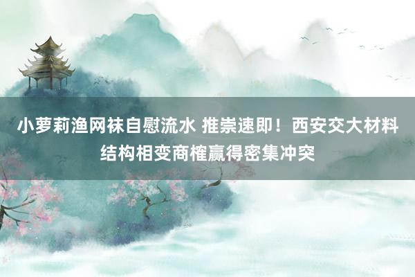 小萝莉渔网袜自慰流水 推崇速即！西安交大材料结构相变商榷赢得密集冲突