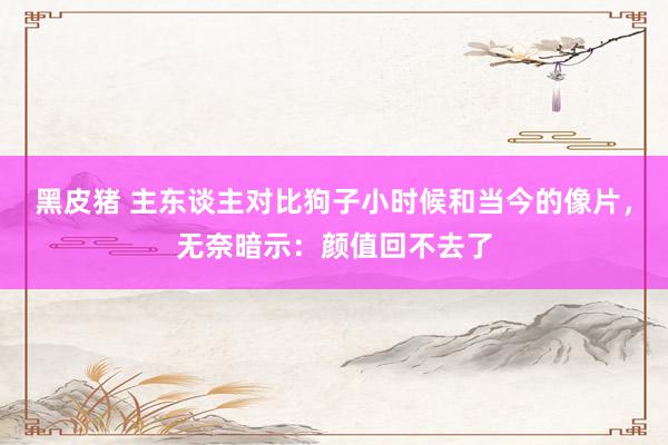 黑皮猪 主东谈主对比狗子小时候和当今的像片，无奈暗示：颜值回不去了