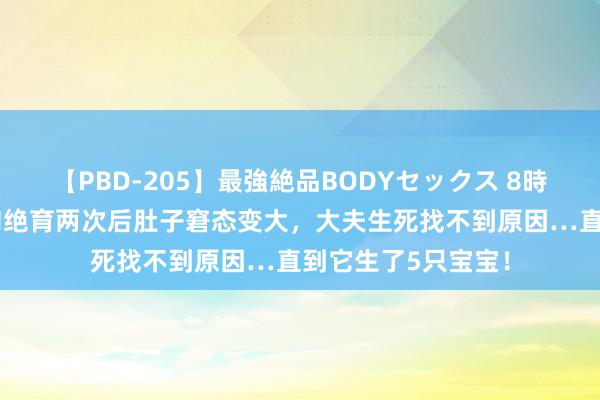 【PBD-205】最強絶品BODYセックス 8時間スペシャル 狗狗绝育两次后肚子窘态变大，大夫生死找不到原因…直到它生了5只宝宝！