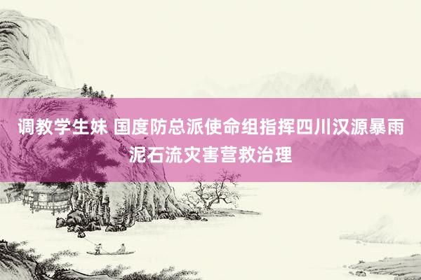 调教学生妹 国度防总派使命组指挥四川汉源暴雨泥石流灾害营救治理