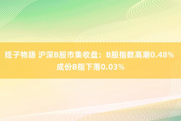 姪子物語 沪深B股市集收盘：B股指数高潮0.48% 成份B指下落0.03%