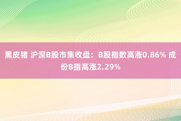 黑皮猪 沪深B股市集收盘：B股指数高涨0.86% 成份B指高涨2.29%