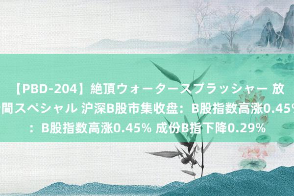 【PBD-204】絶頂ウォータースプラッシャー 放尿＆潮吹き大噴射8時間スペシャル 沪深B股市集收盘：B股指数高涨0.45% 成份B指下降0.29%