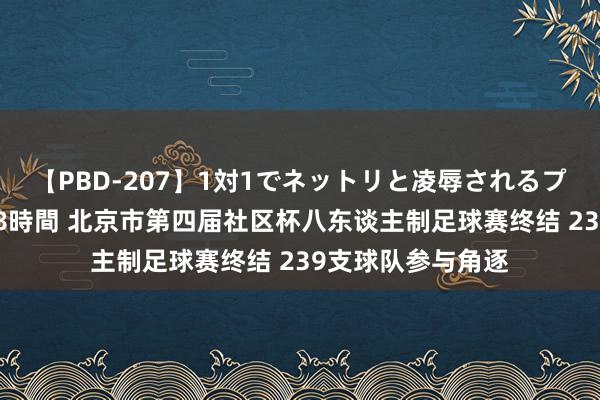 【PBD-207】1対1でネットリと凌辱されるプレミア女優たち 8時間 北京市第四届社区杯八东谈主制足球赛终结 239支球队参与角逐