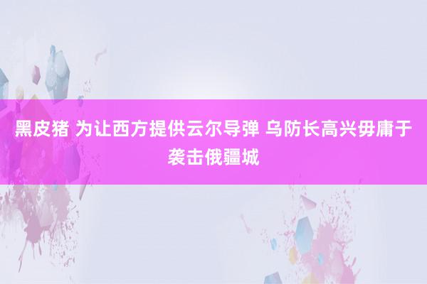 黑皮猪 为让西方提供云尔导弹 乌防长高兴毋庸于袭击俄疆城
