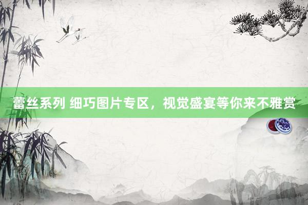 蕾丝系列 细巧图片专区，视觉盛宴等你来不雅赏