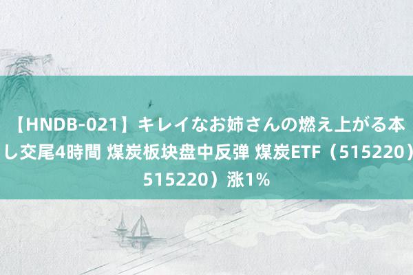 【HNDB-021】キレイなお姉さんの燃え上がる本物中出し交尾4時間 煤炭板块盘中反弹 煤炭ETF（515220）涨1%