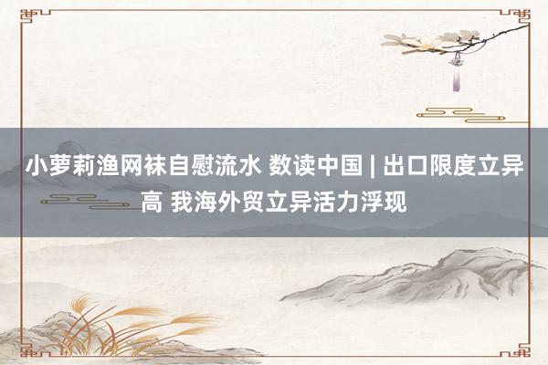 小萝莉渔网袜自慰流水 数读中国 | 出口限度立异高 我海外贸立异活力浮现