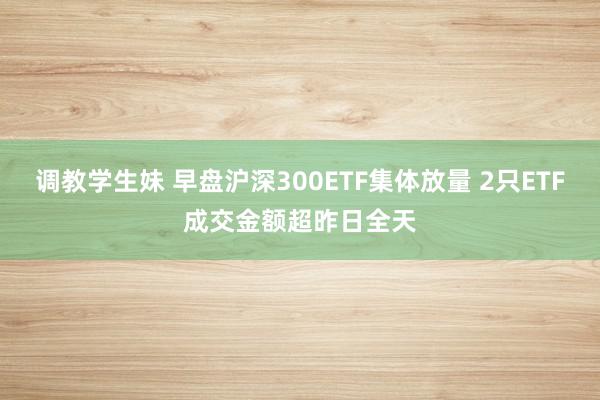 调教学生妹 早盘沪深300ETF集体放量 2只ETF成交金额超昨日全天