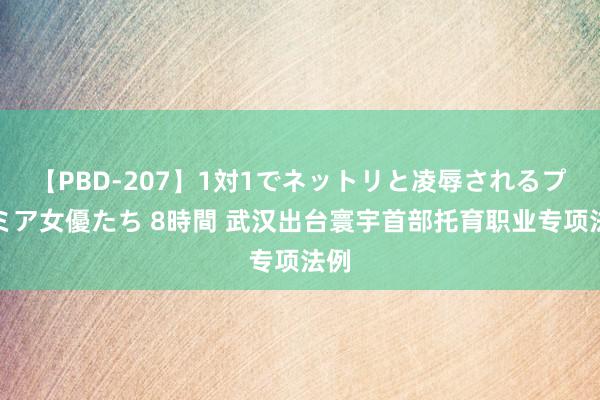 【PBD-207】1対1でネットリと凌辱されるプレミア女優たち 8時間 武汉出台寰宇首部托育职业专项法例