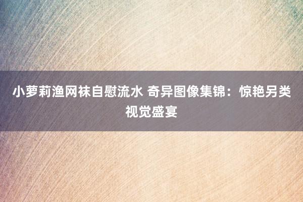 小萝莉渔网袜自慰流水 奇异图像集锦：惊艳另类视觉盛宴