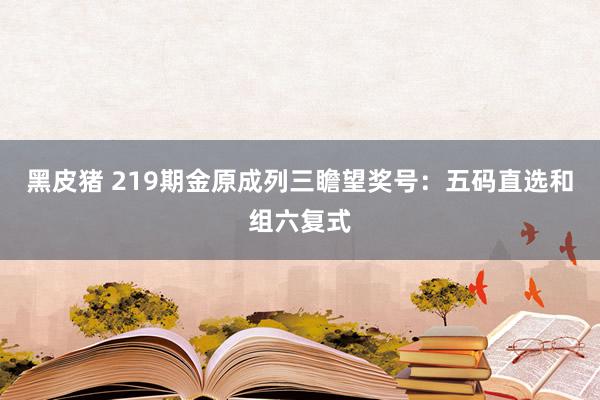 黑皮猪 219期金原成列三瞻望奖号：五码直选和组六复式