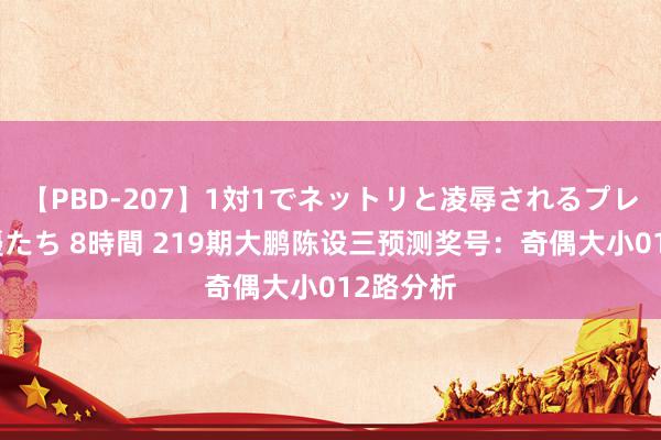 【PBD-207】1対1でネットリと凌辱されるプレミア女優たち 8時間 219期大鹏陈设三预测奖号：奇偶大小012路分析