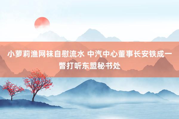 小萝莉渔网袜自慰流水 中汽中心董事长安铁成一瞥打听东盟秘书处
