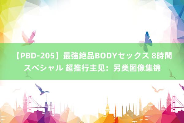 【PBD-205】最強絶品BODYセックス 8時間スペシャル 超推行主见：另类图像集锦
