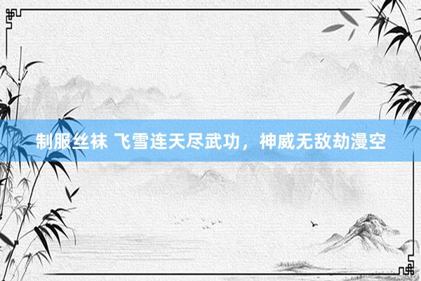 制服丝袜 飞雪连天尽武功，神威无敌劫漫空