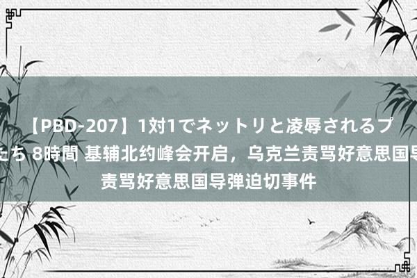 【PBD-207】1対1でネットリと凌辱されるプレミア女優たち 8時間 基辅北约峰会开启，乌克兰责骂好意思国导弹迫切事件