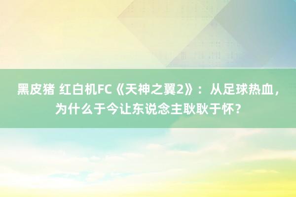 黑皮猪 红白机FC《天神之翼2》：从足球热血，为什么于今让东说念主耿耿于怀？