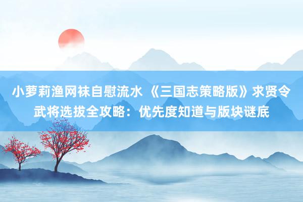 小萝莉渔网袜自慰流水 《三国志策略版》求贤令武将选拔全攻略：优先度知道与版块谜底