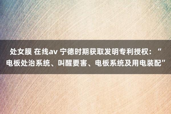 处女膜 在线av 宁德时期获取发明专利授权：“电板处治系统、叫醒要害、电板系统及用电装配”