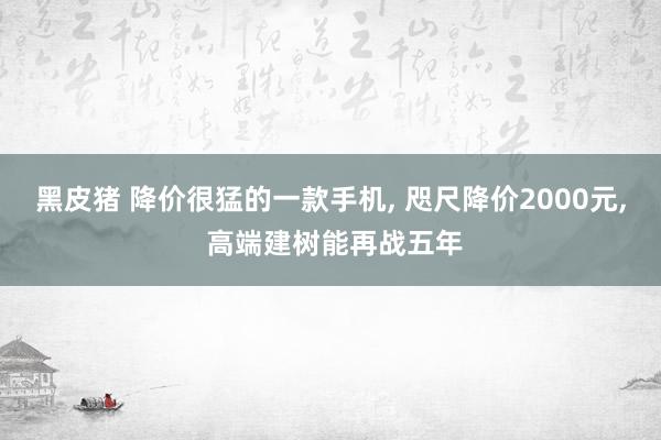 黑皮猪 降价很猛的一款手机, 咫尺降价2000元, 高端建树能再战五年