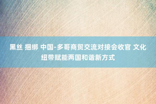 黑丝 捆绑 中国-多哥商贸交流对接会收官 文化纽带赋能两国和谐新方式