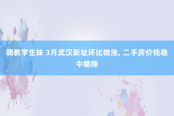 调教学生妹 3月武汉新址环比微涨, 二手房价钱稳中略降