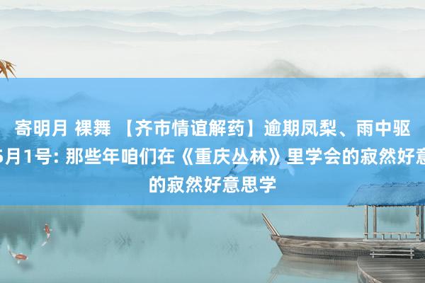 寄明月 裸舞 【齐市情谊解药】逾期凤梨、雨中驱驰和5月1号: 那些年咱们在《重庆丛林》里学会的寂然好意思学